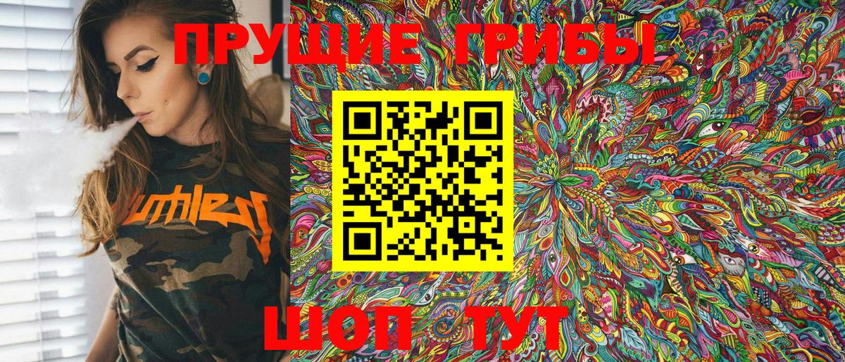 Псилоцибиновые грибы Psilocybine cubensis Шатура